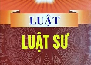 luat luat su 2006